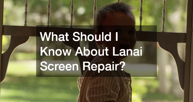 What Should I Know About Lanai Screen Repair?