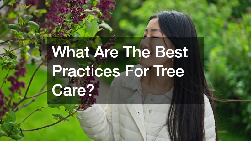 What Are The Best Practices For Tree Care?