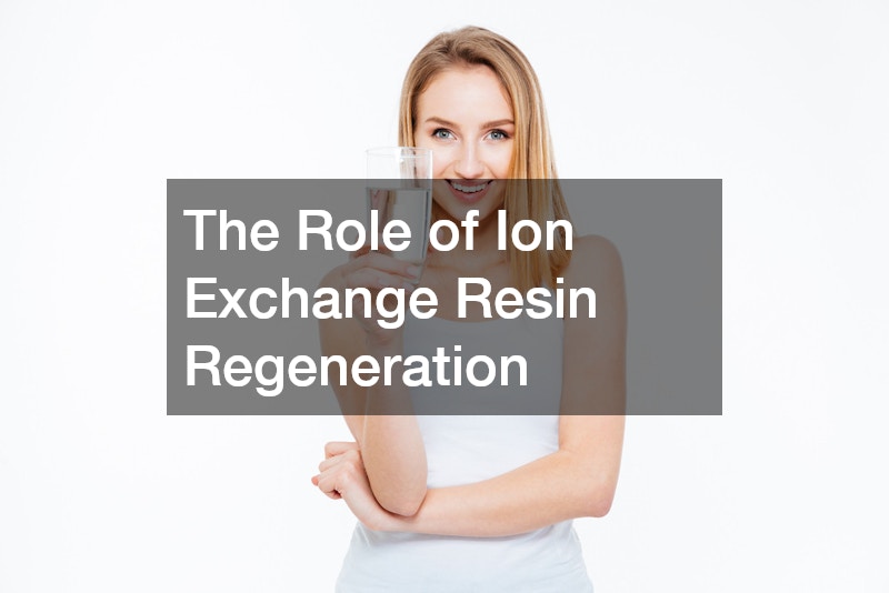 The Role of Ion Exchange Resin Regeneration