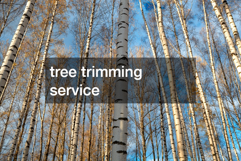 tree trimming service