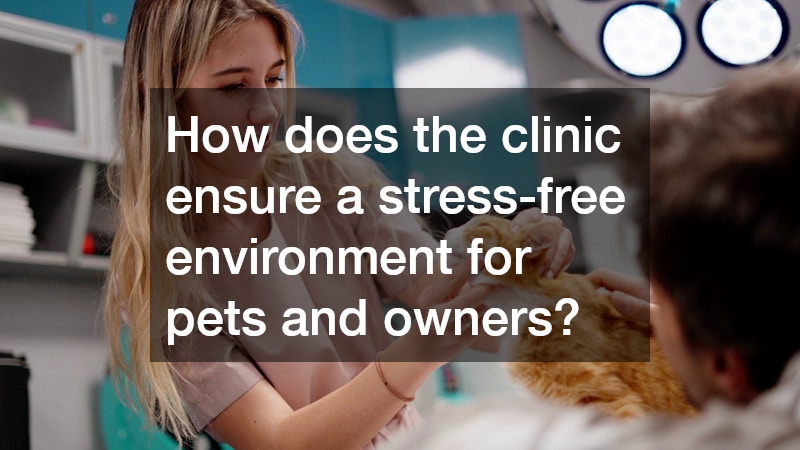 How does the clinic ensure a stress-free environment for pets and owners?