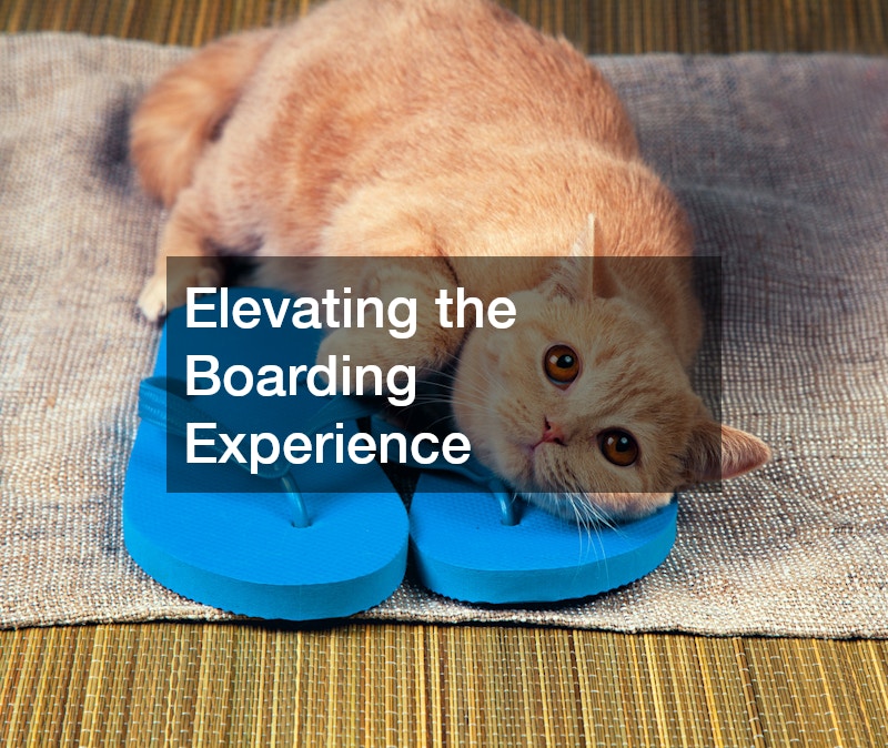 Elevating the Boarding Experience