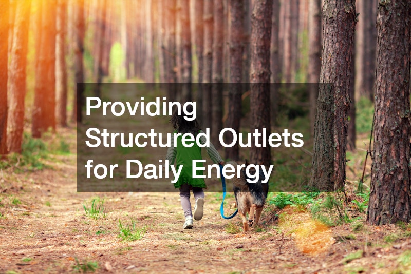 Providing Structured Outlets for Daily Energy