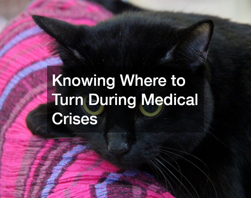 Knowing Where to Turn During Medical Crises