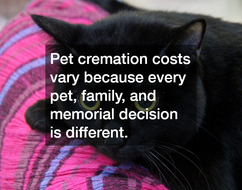 Pet cremation costs vary because every pet, family, and memorial decision is different. 