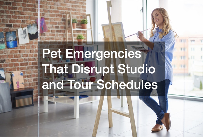 Pet Emergencies That Disrupt Studio and Tour Schedules