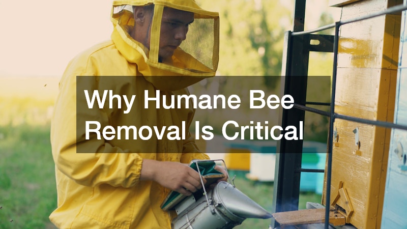Why Humane Bee Removal Is Critical
