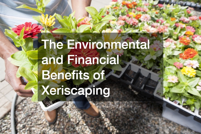 The Environmental and Financial Benefits of Xeriscaping