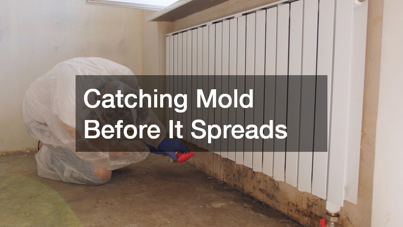Catching Mold Before It Spreads