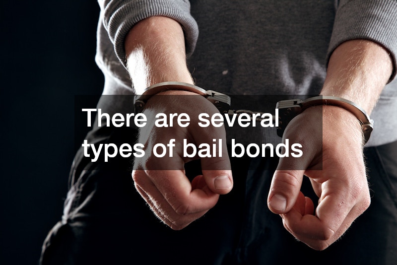 There are several types of bail bonds