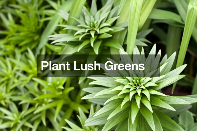 Plant Lush Greens