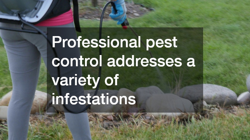 xtermination services are fundamental for maintaining a safe, pest-free home environment