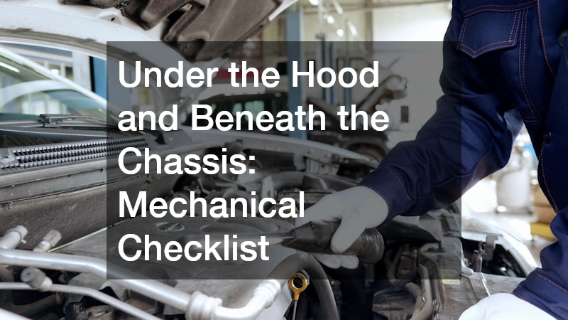Under the Hood and Beneath the Chassis: Mechanical Checklist