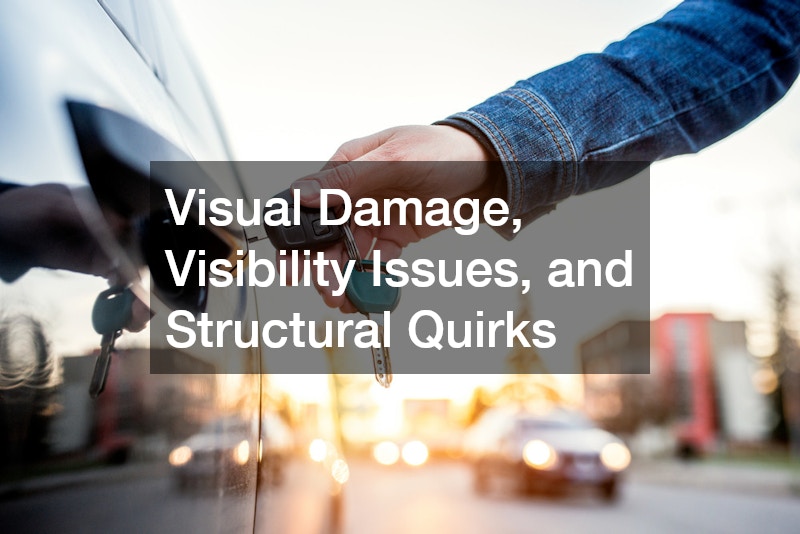 Visual Damage, Visibility Issues, and Structural Quirks