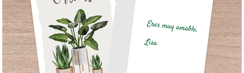 Chic Card@2x.png