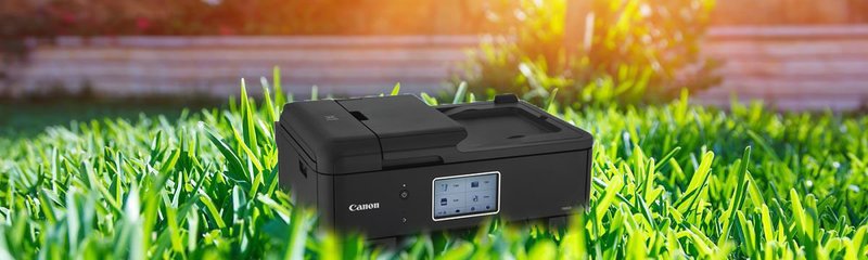 canon in grass