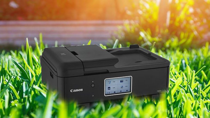canon in grass