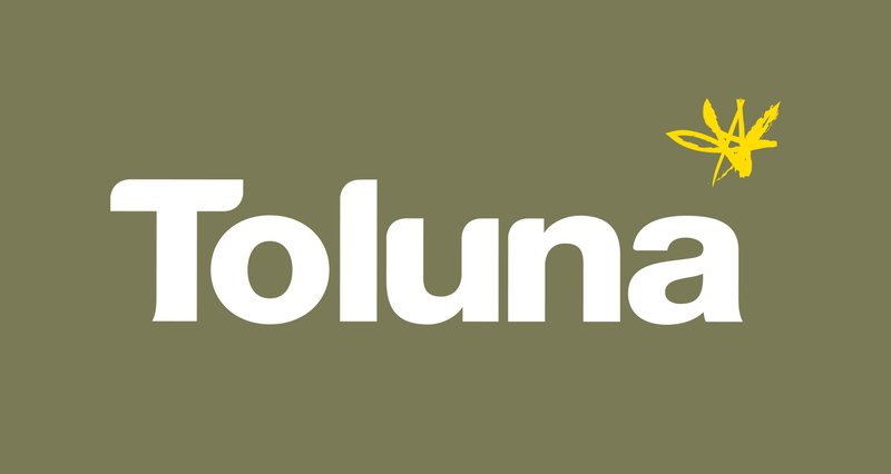 toluna-branding-logo-listing-landscape