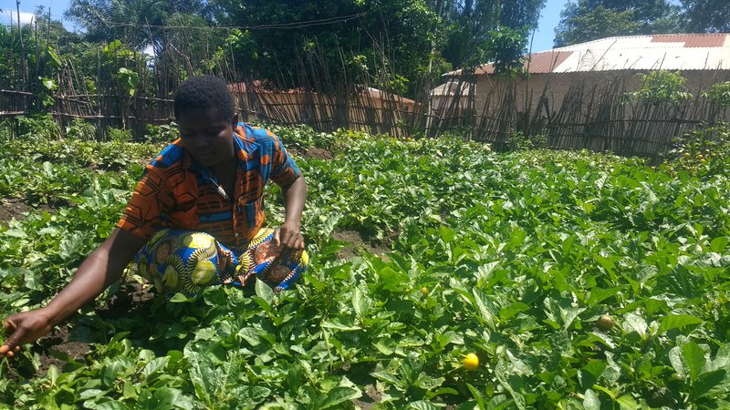 A Beninese man plants crops in the sunny outdoors