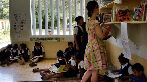 Gabriella Miyares library project