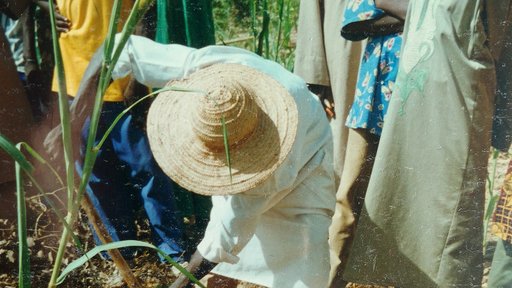 Peace Corps Niger reflection