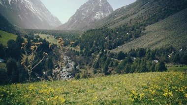 Alamedin_Gorge_reduced.jpg