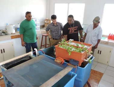 Andy and his CPs looking at Tilapia farming