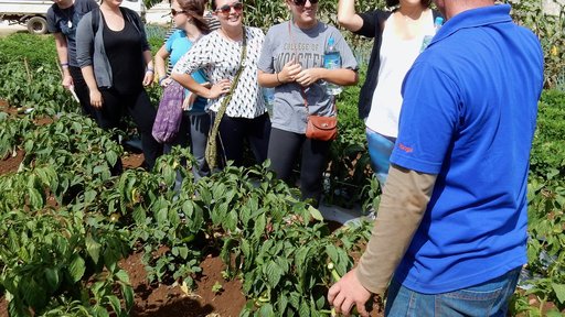 How to create a school garden, one veggie at a time