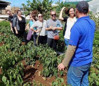 How to create a school garden, one veggie at a time