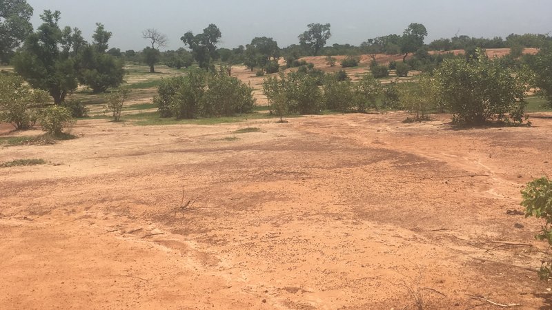 poor soil