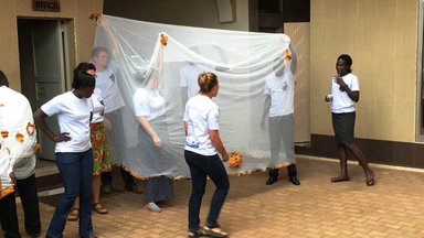 Carrying out a bed net inspection.jpg