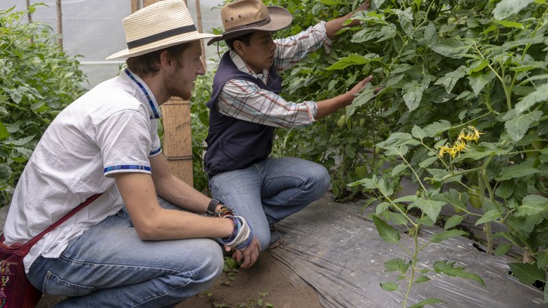 DevonColegrove_FTF_Guatemala