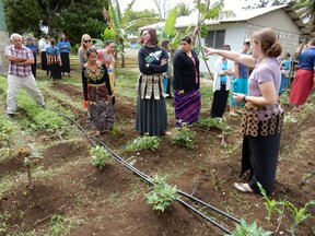 Garden irrigation