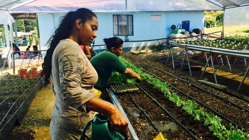 With the help of the Canadian Embassy and Agenda Verde, we helped our local women's organization, ADATA, build a hydroponic garden as a sustainable food source.