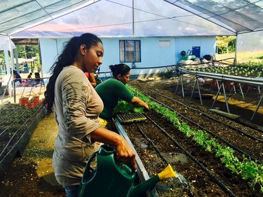 With the help of the Canadian Embassy and Agenda Verde, we helped our local women's organization, ADATA, build a hydroponic garden as a sustainable food source.