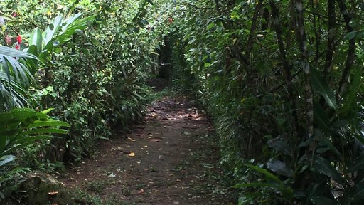 Garden, Costa Rica