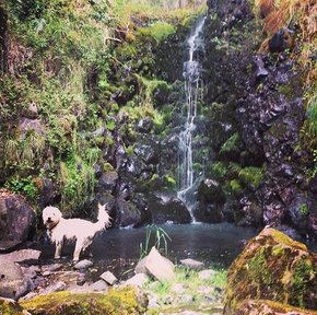 Henry waterfall