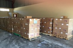 BFA 2017 Books in Storage