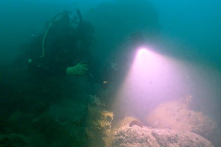 Doing the first dive survey and species inventory of the site with researchers.