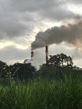 The chimneys_Nick Choa
