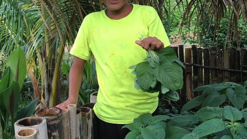 home gardens 5