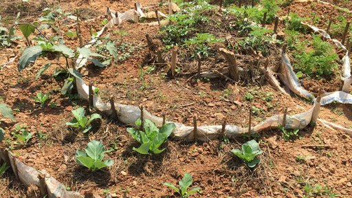 Keyhole "kitchen" garden beneficiaries are selected in rural communities and our technicians help train and implement these g