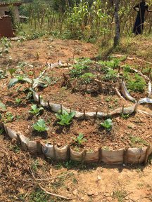 Keyhole "kitchen" garden beneficiaries are selected in rural communities and our technicians help train and implement these gardens to help increase household nutrition and curb childhood stunting.