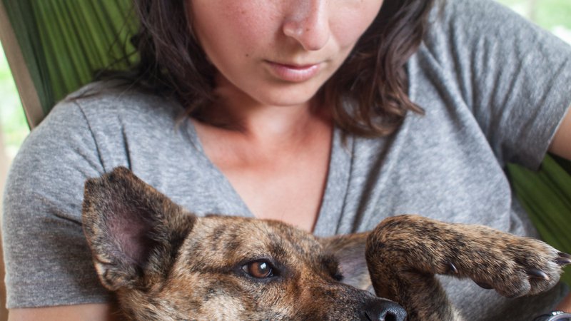 A female Peace Corps Volunteer sits in a hammock with her dog.