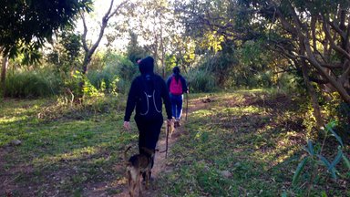 Introductory nature walk