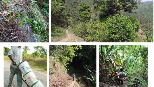Jamaica water project
