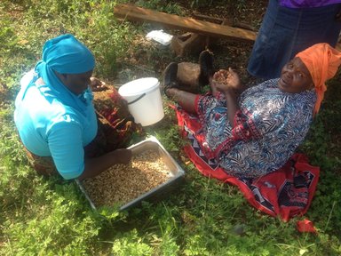Swazi women peeling peanuts