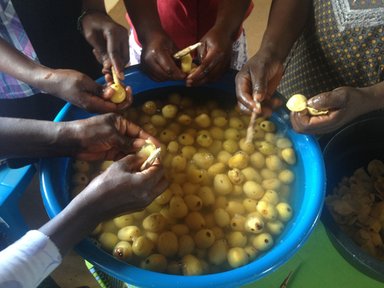 Marula Fruit