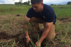 Tree planting at PST