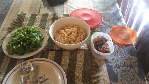La bandera, Dominican national meal